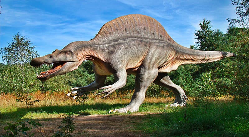 Musée des dinosaures