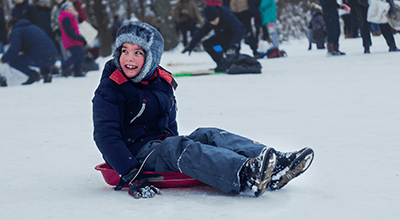 Snake Sledge Adventure