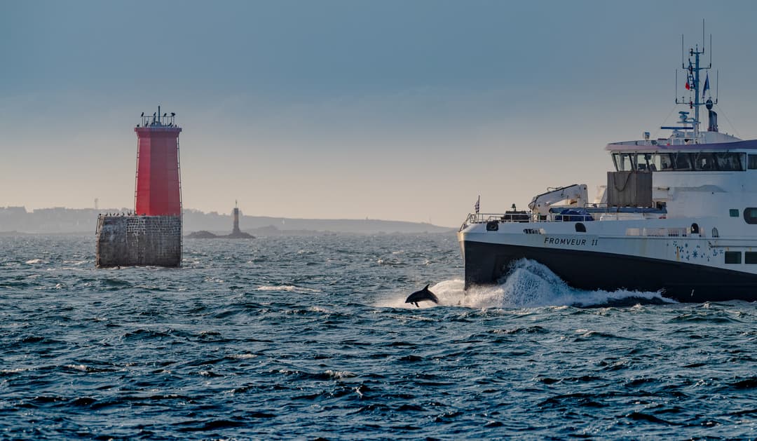 Explore the Breton Islands by Ferry!
