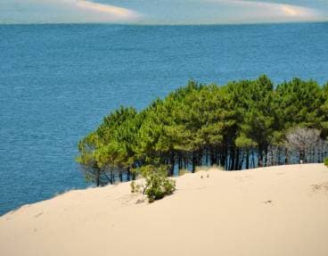 Montez sur la dune du Pilat