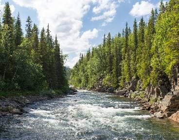 Un tour de barque sur un site naturel unique en Europe