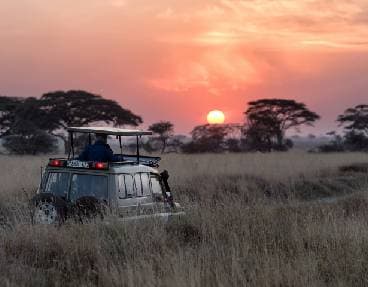 Testez le safari 4x4	