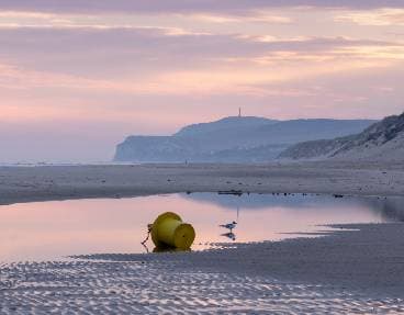 Pêche à pied
