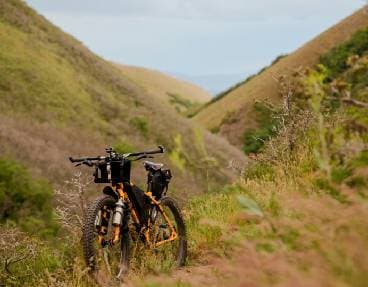 Faites une balade en vélo ! 