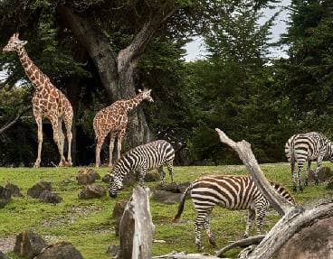 Ecozoo des Sables