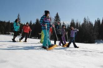 Snowshoeing Walks