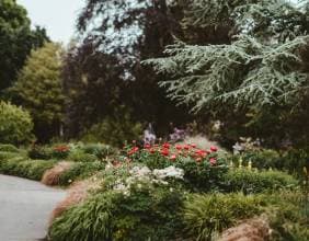 Paris Floral Parc