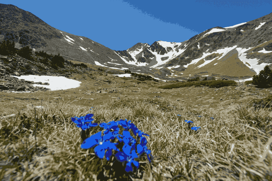 Location vacances à Font Romeu - été