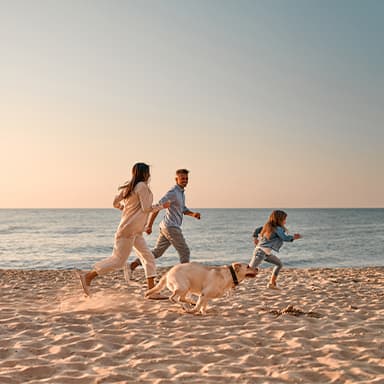 /nos-locations-vacances-avec-animaux-acceptes
