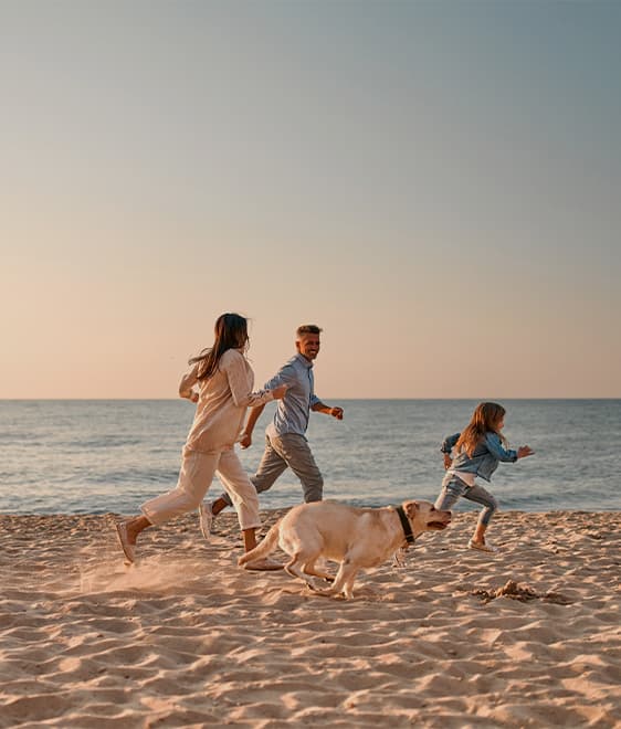 location de vacances avec animal accepté