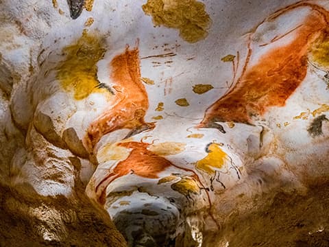 Les grottes de la préhistoire