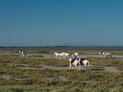 Balades à cheval 