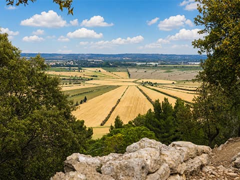 L'Oppidum d'Ensérune