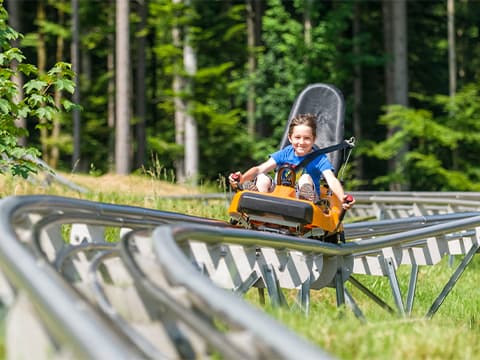La luge d'été