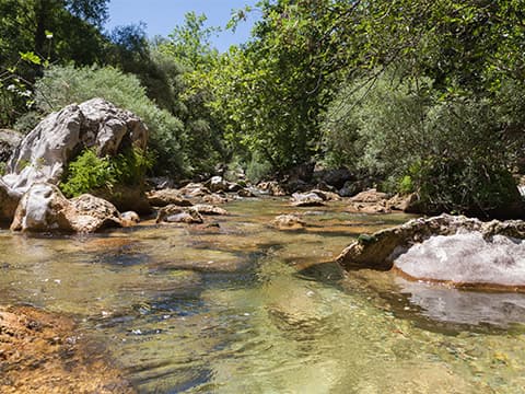 Les gorges de la Siagne