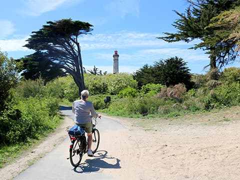 L'île de Ré à vélo