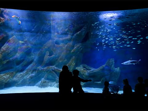 L'Aquarium de La Rochelle
