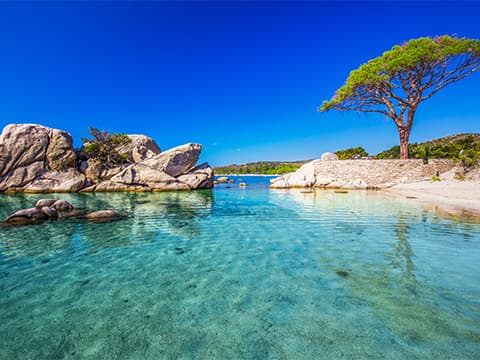 Palombaggia et son eau turquoise