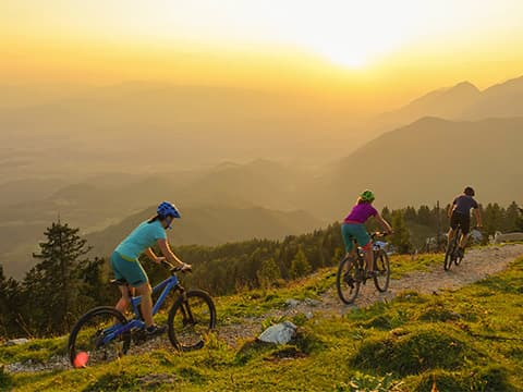 Bike park et aventures