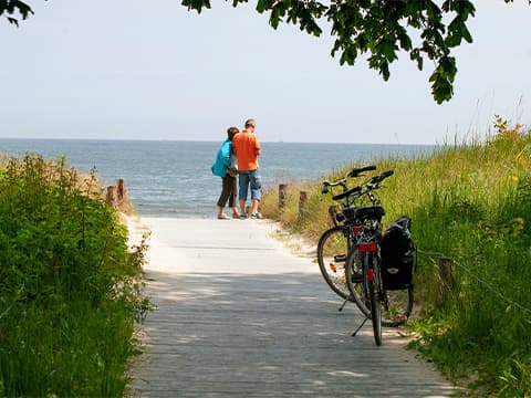 Balades à vélo