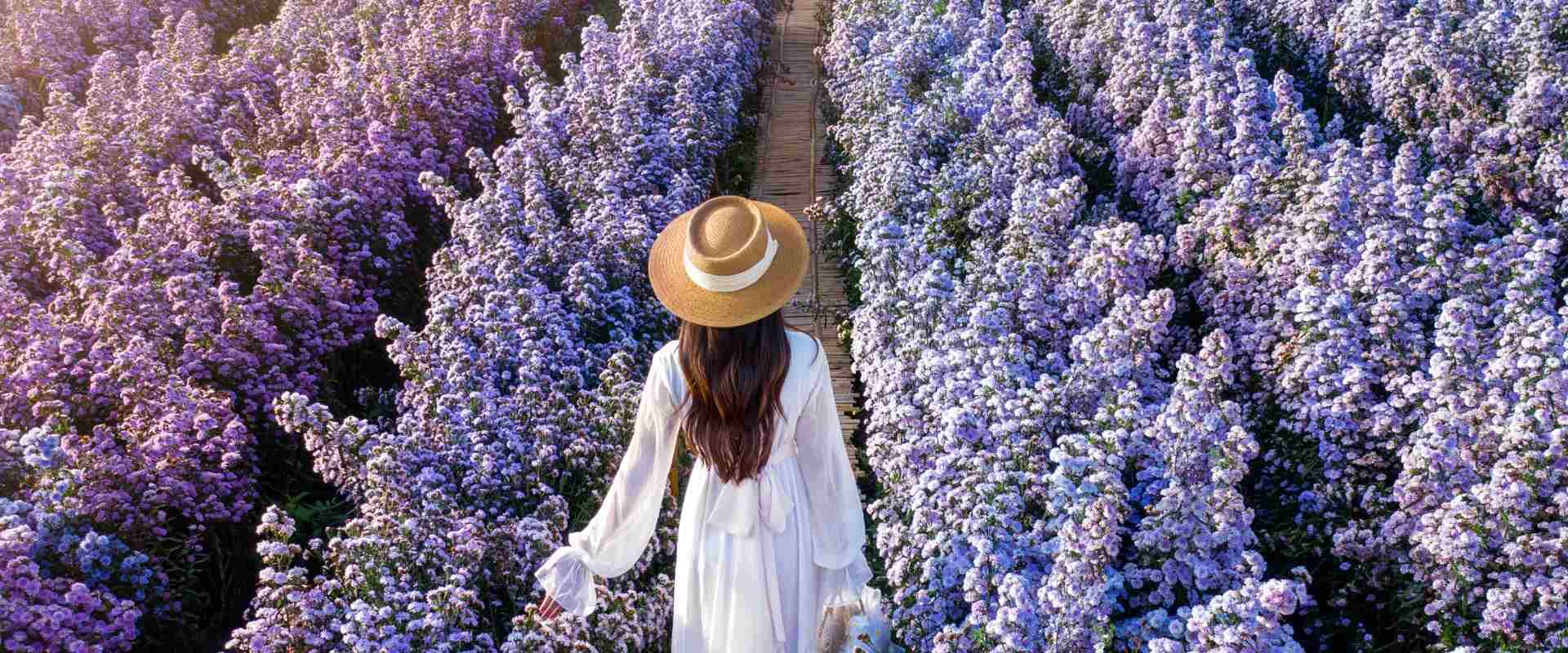 Vacances Printemps
