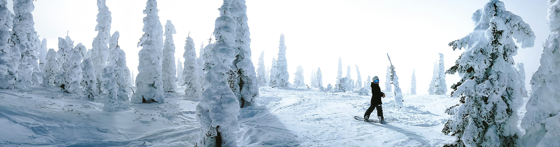 Snowboarder