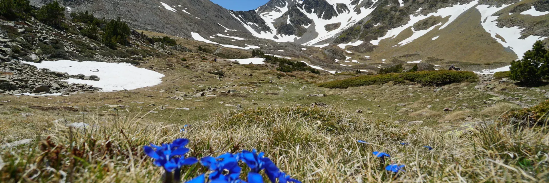 Location vacances à Font Romeu - été