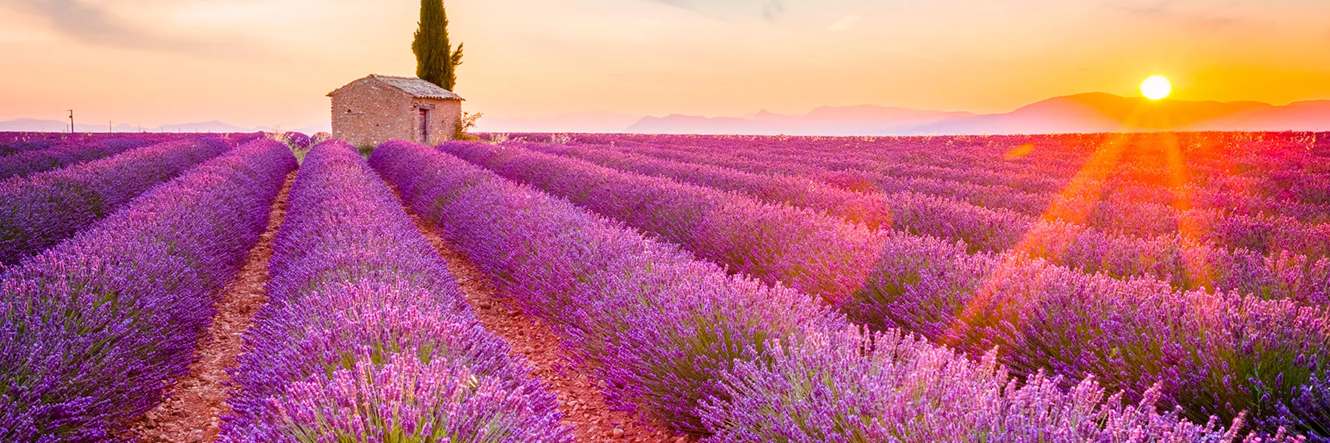 Location vacances en Provence
