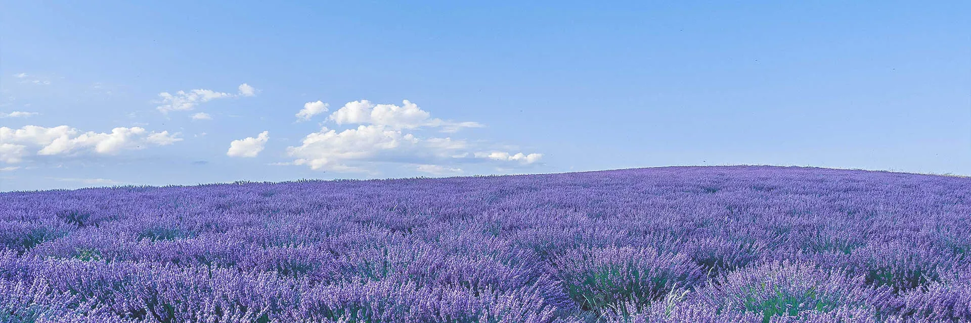 Où partir en vacances en France ?