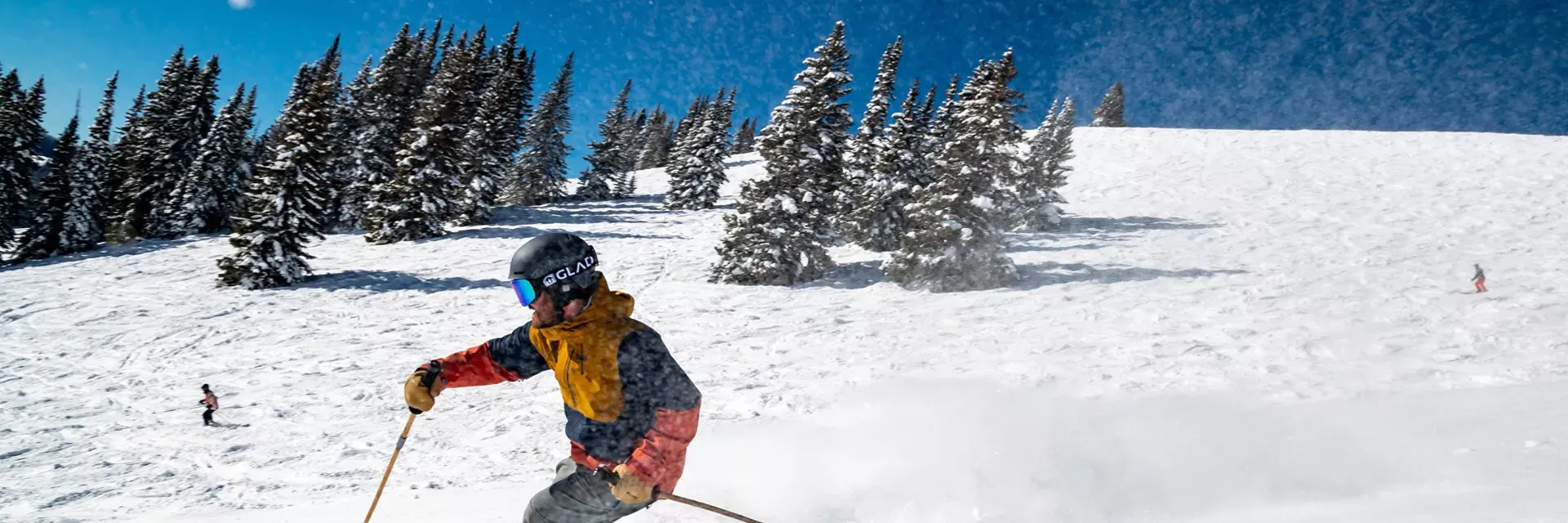 Votre location au ski dans les Alpes