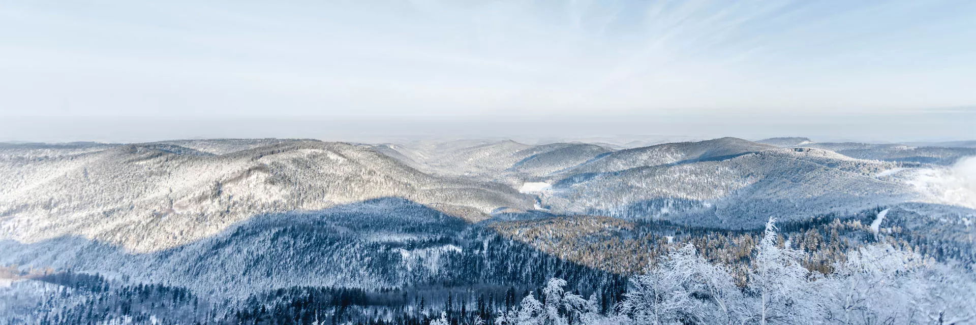 Holiday rentals in the Vosges