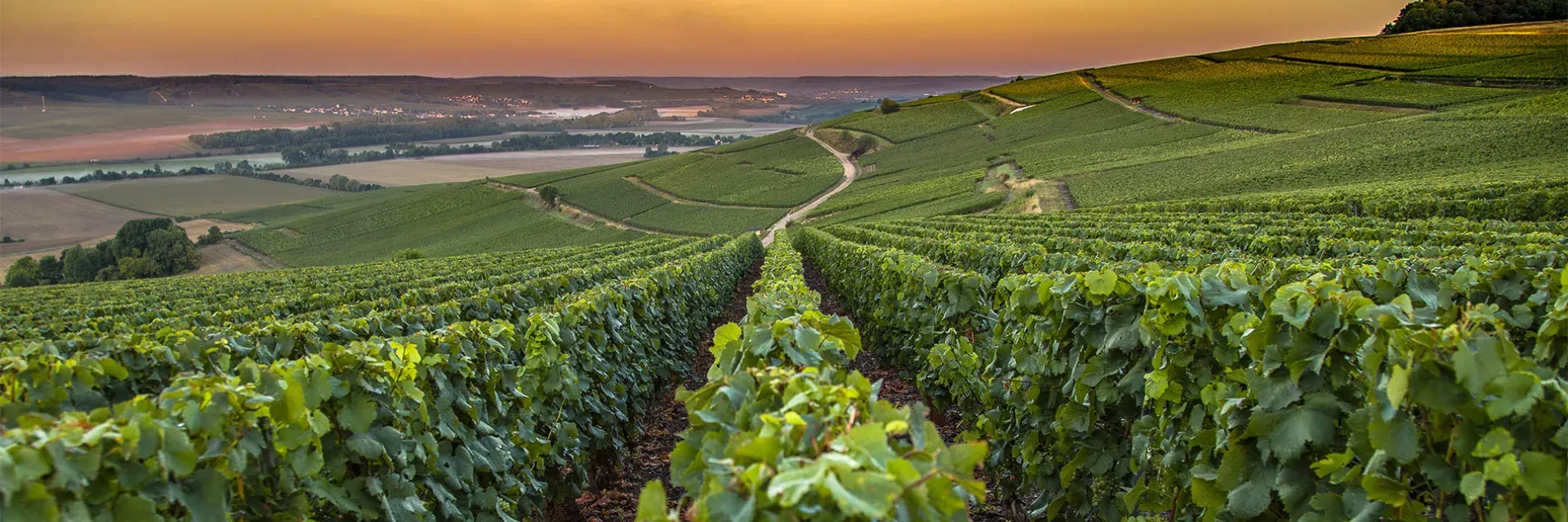 Préparez vos vacances dans la Résidence Les Demeures Champenoises à Épernay