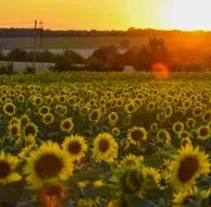 Votre location de vacances à Prailles-la-Couarde