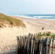 Location vacances à Biscarrosse