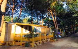 Camping Dolce Vita in Calvi