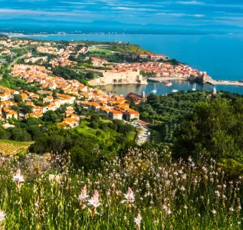 Plages, authenticité et culture l'incontournable Languedoc Roussillon