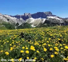 Idées d'une semaine de vacances type à Valence