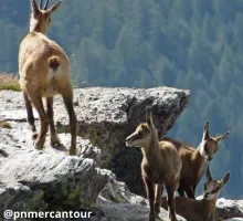 Idées d'une semaine de vacances type à Valberg - @pnmercantour