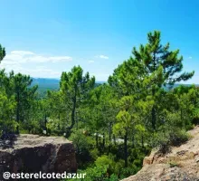 Idées d'une semaine de vacances type à Fréjus - Ⓒesterelcotedazur