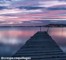 Idées d'une semaine de vacances type à Montpellier - Ⓒcrespo.coquillages