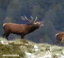 Idées d'une semaine de vacances type à Loudenvielle - ©visitvielha