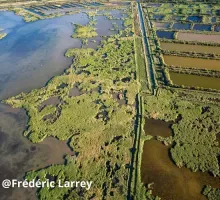 Réserve naturelle du bagnas Cap d'Agde