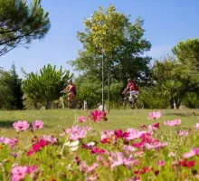 Parc de la Prade en fleur à Saint-Cyprien