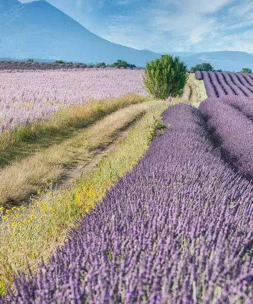 Week-end insolite en Provence