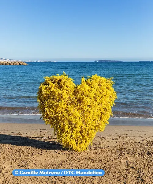 Plage des Dauphins à Mandelieu-la-Napoule