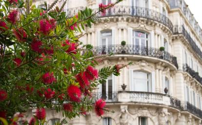 Montpellier